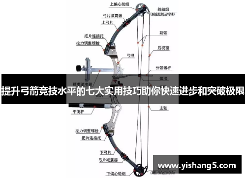 提升弓箭竞技水平的七大实用技巧助你快速进步和突破极限