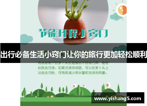 出行必备生活小窍门让你的旅行更加轻松顺利